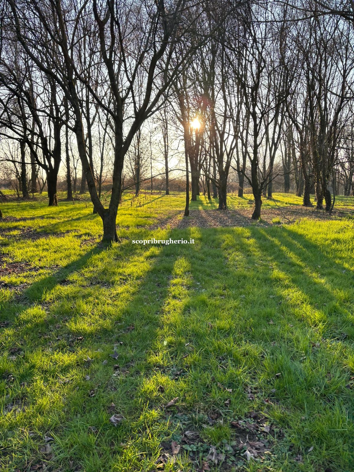 visitare il parco increa, brugherio